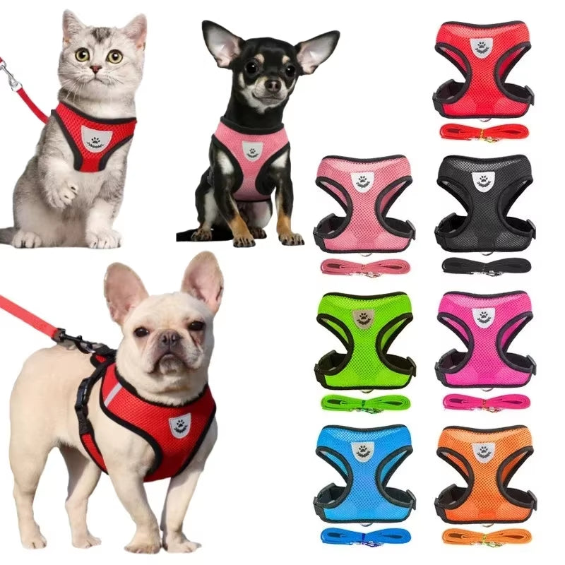MASCOTAS